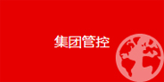 集團(tuán)管控